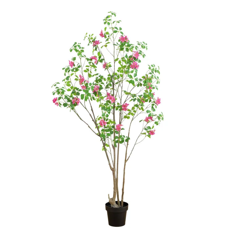 hubert3562052
